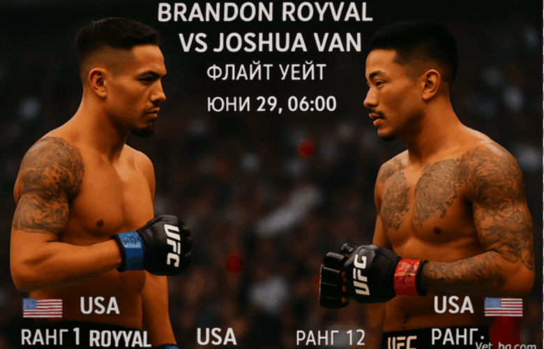 bet365 ufc
