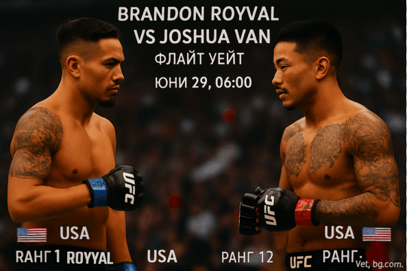 bet365 ufc